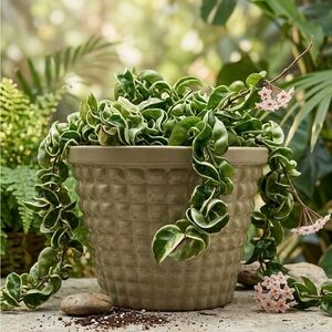 Olive Green Ceramic Barrel Planter with Drainage Hole - 9 inch Textured Clay Pot